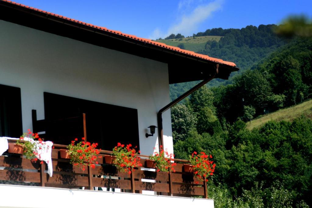 Spa Hotel Planinata Ribarica Room photo